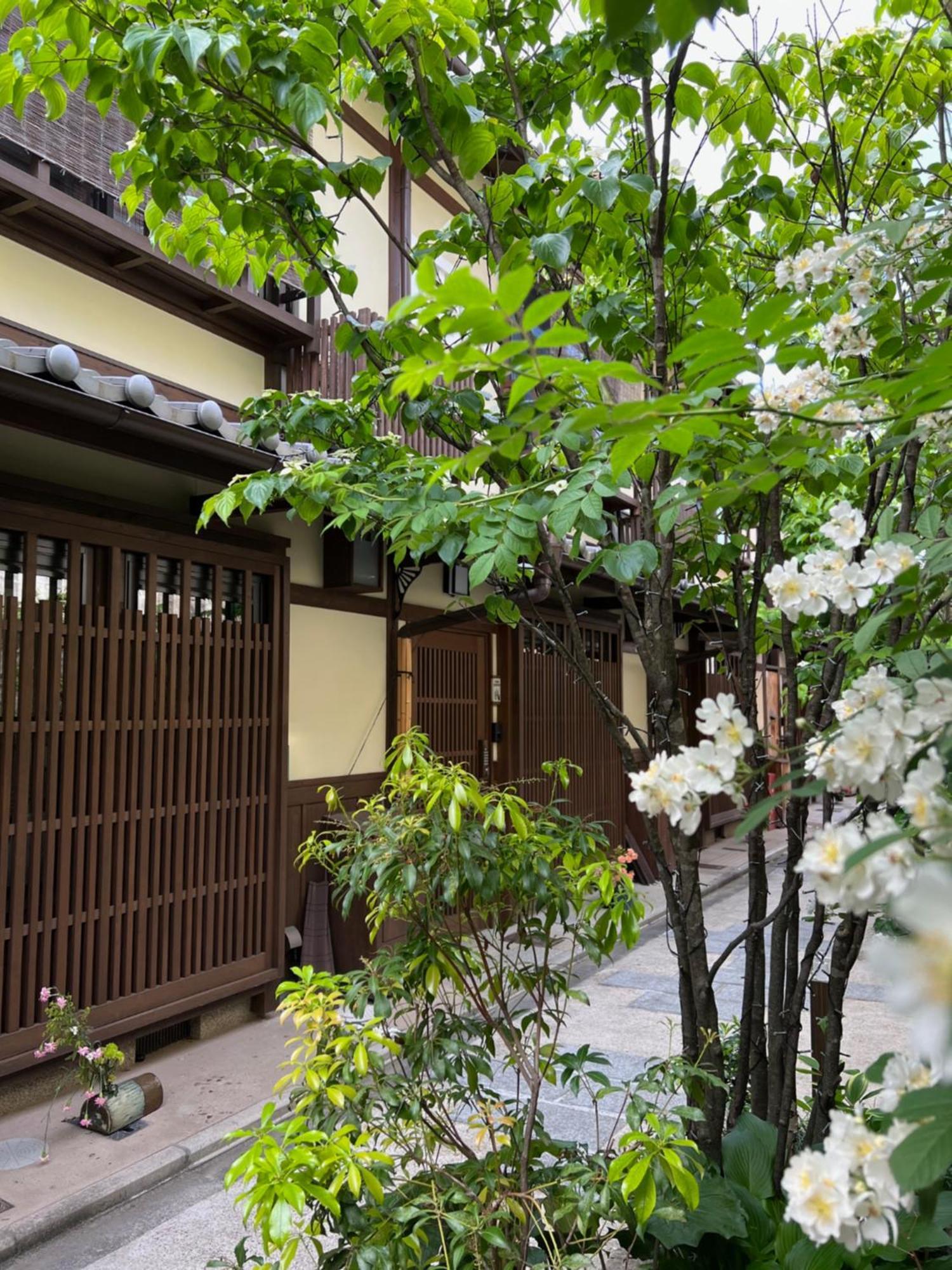 Villa Imakumano Terrace - Dohachi An 道八庵 Kyōto Esterno foto
