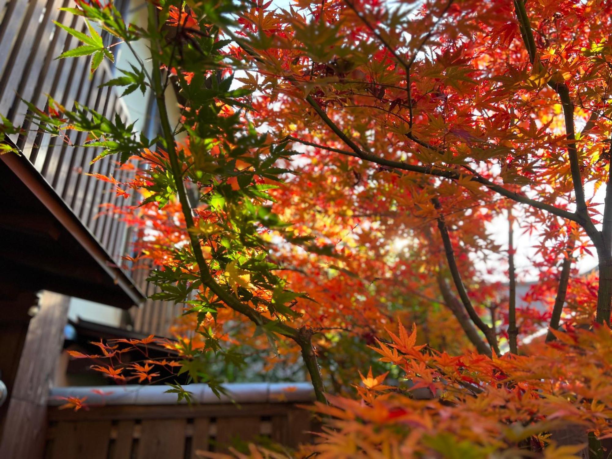 Villa Imakumano Terrace - Dohachi An 道八庵 Kyōto Esterno foto